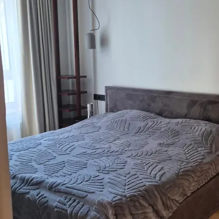 Cozy 3-room Flat By Twinsbet Arena & Ozas * 维尔纽斯