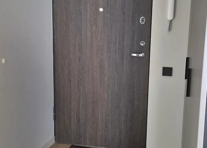 Cozy 3-room Flat By Twinsbet Arena & Ozas * 维尔纽斯